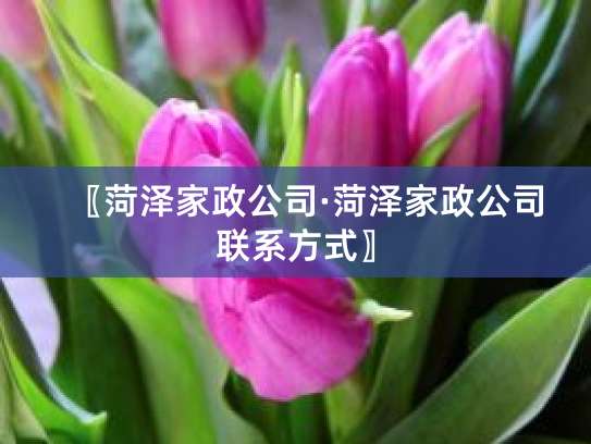 菏澤家政公司 一站式室內外裝飾裝修與維修工程解決方案